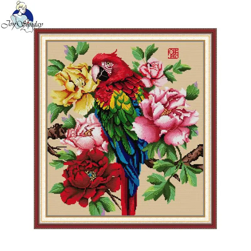 Joy Sunday Beautiful Parrot Pa - Embroidery Meaning recension och pris